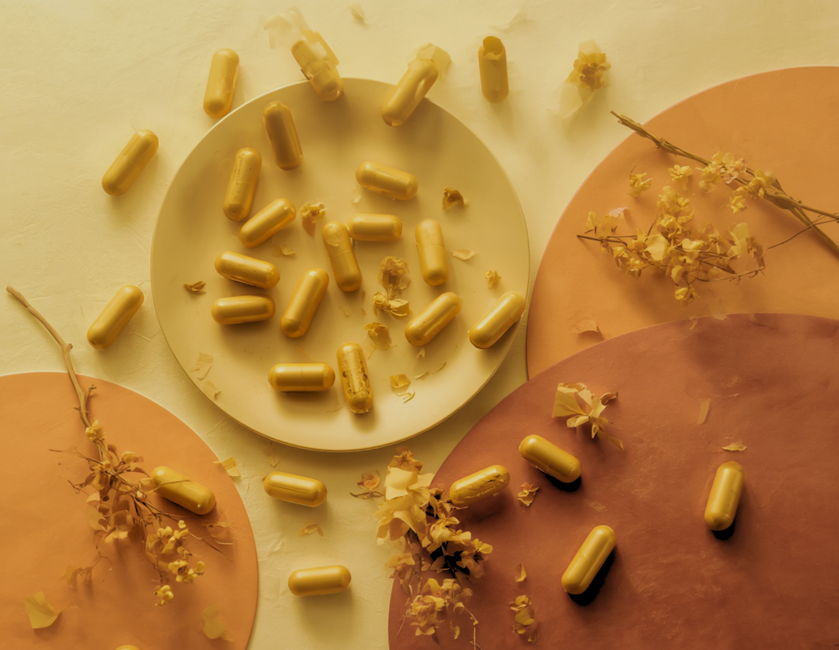 Shilajit Royal Elixir